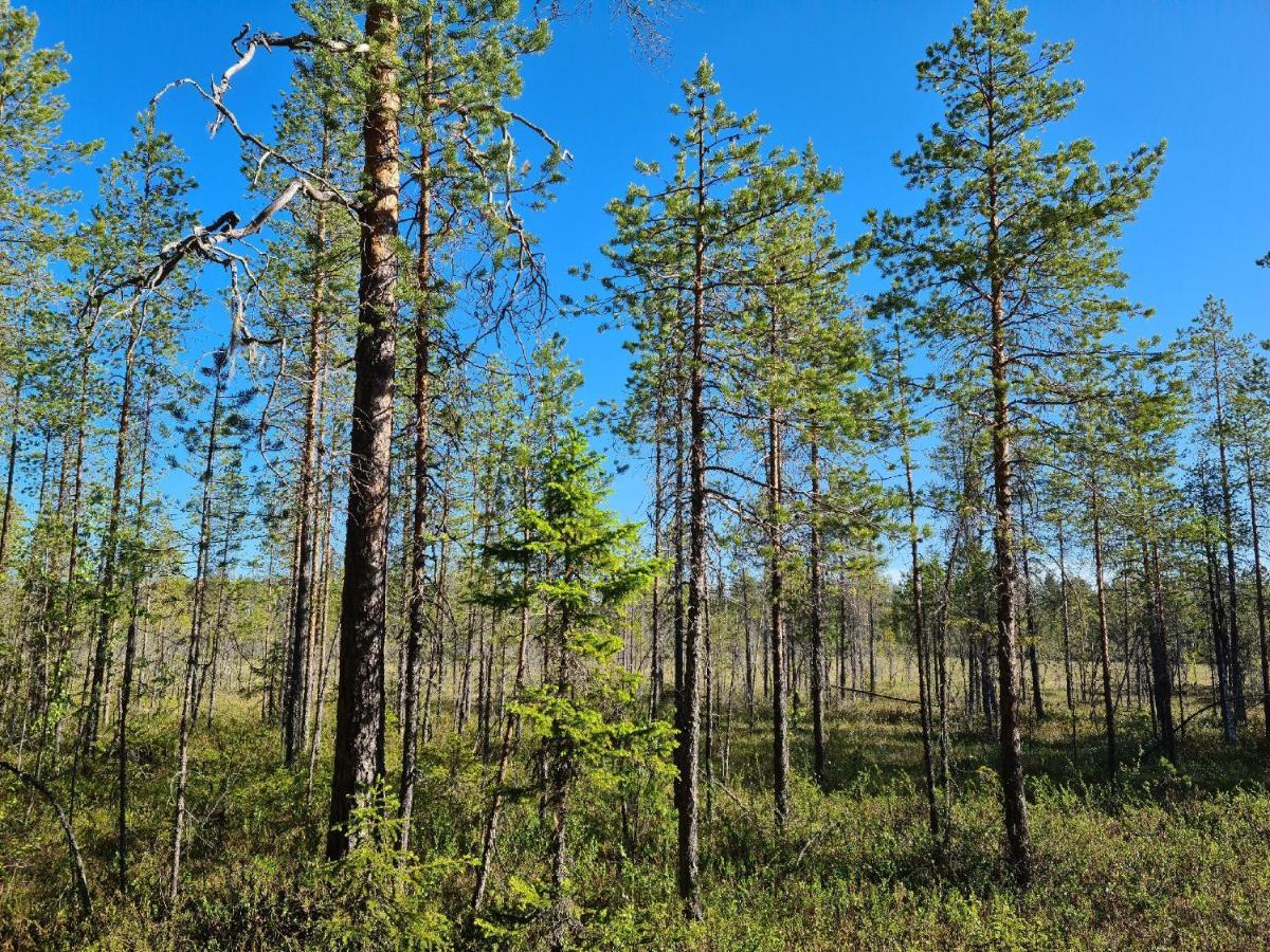 Raate Guest House Suomussalmi Esterno foto