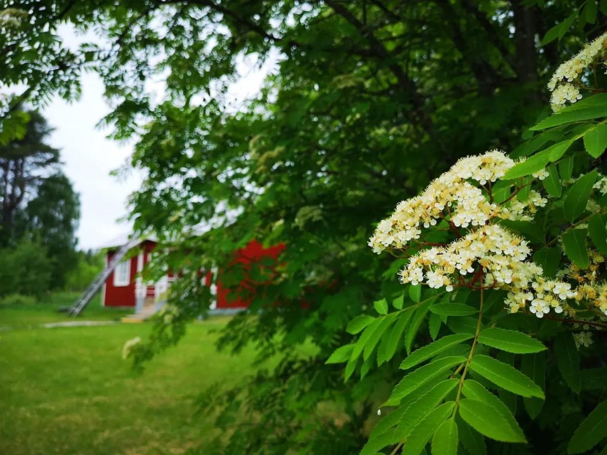 Raate Guest House Suomussalmi Esterno foto